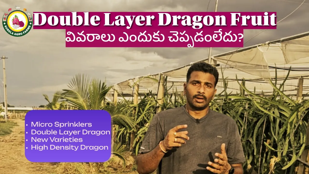 Watch the Kurela Agro Farms video on YouTube